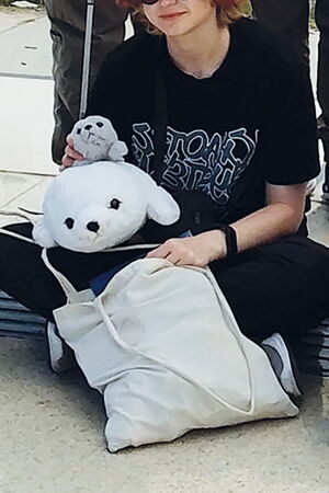 Bildausschnitt: Hände einer sitzenden Person halten zwei Robben-Kuscheltiere und eine Tragetasche.