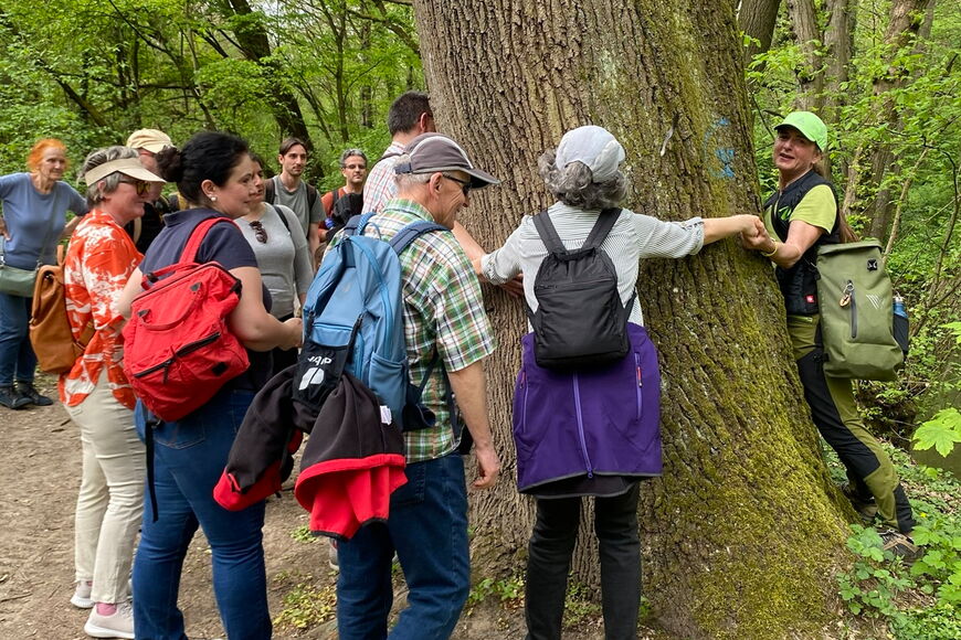Eine Gruppe Menschen steht vor einer dicken Eiche, manche fassen sich an den Händen, um den Stammumfang der Baumes zu erfühlen.